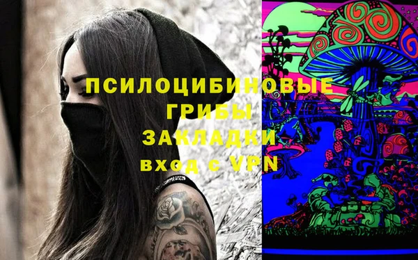 мдма Медвежьегорск