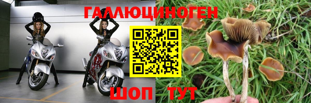 Псилоцибиновые грибы Magic Shrooms Новокубанск