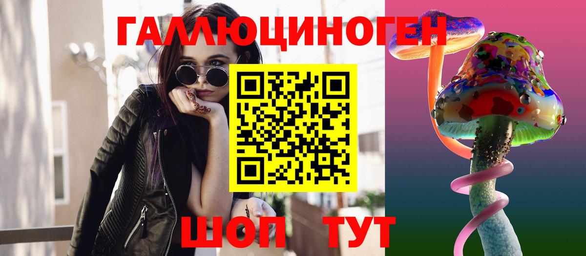 Псилоцибиновые грибы Psilocybine cubensis  Новокубанск 