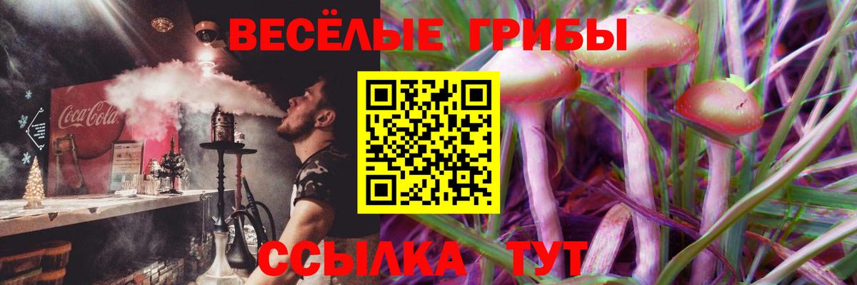 Псилоцибиновые грибы Cubensis  Вход с VPN  где купить   Новокубанск 